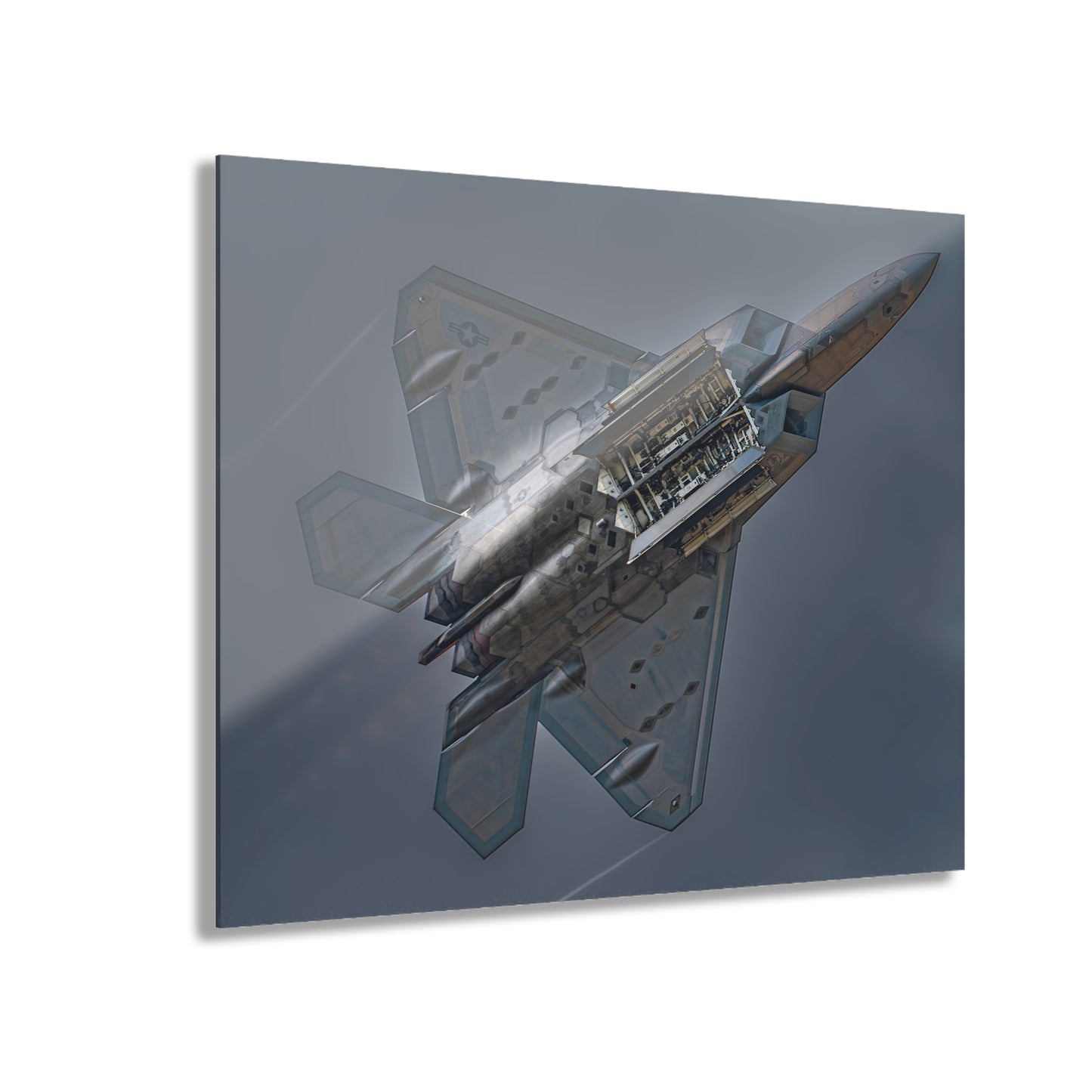 F-22 Raptor Acrylic Print
