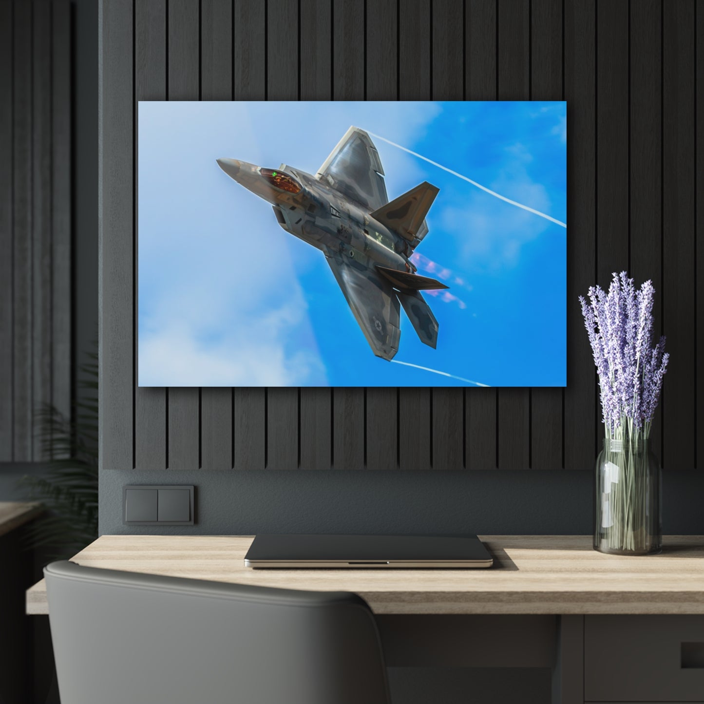 F-22 Raptor Acrylic Print