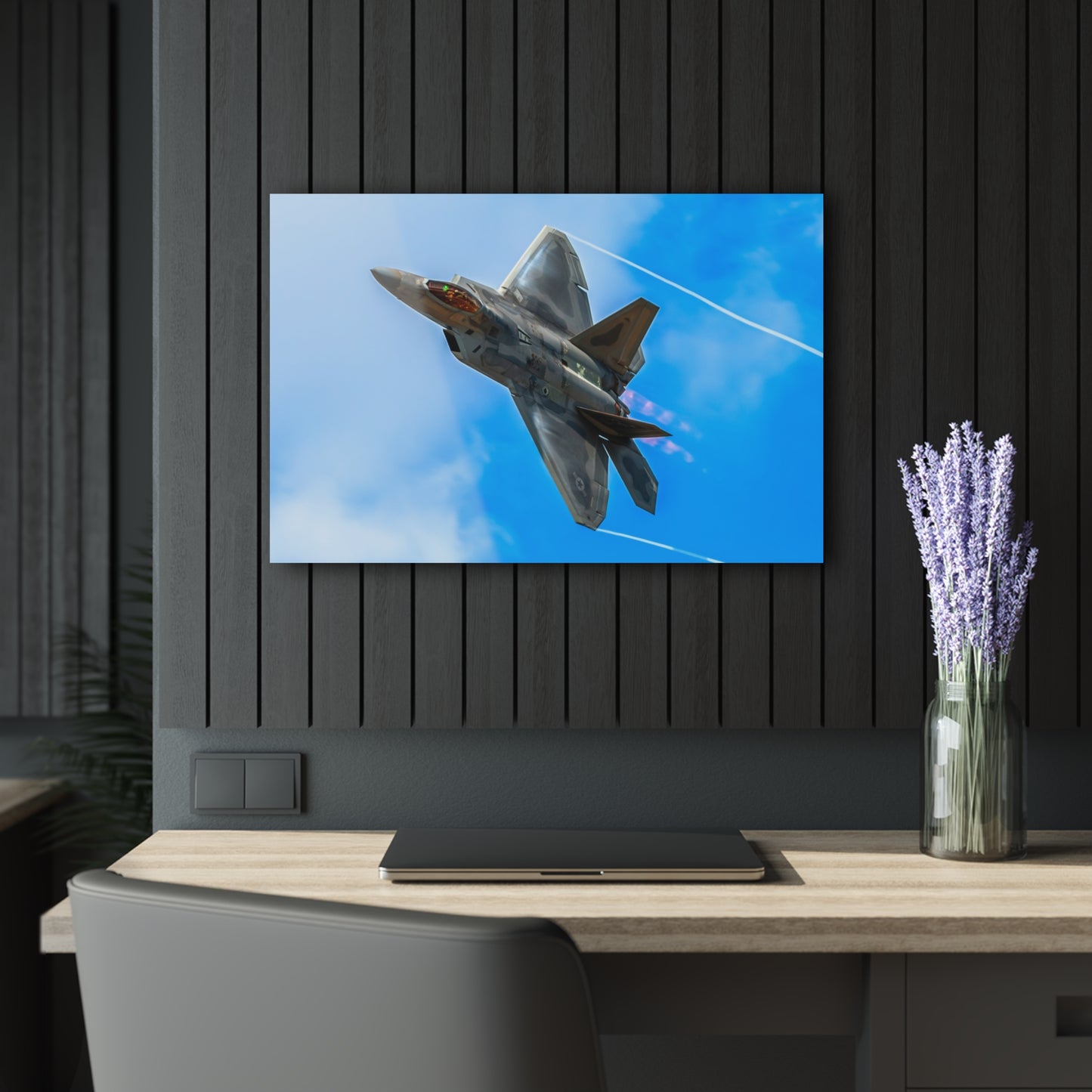 F-22 Raptor Acrylic Print