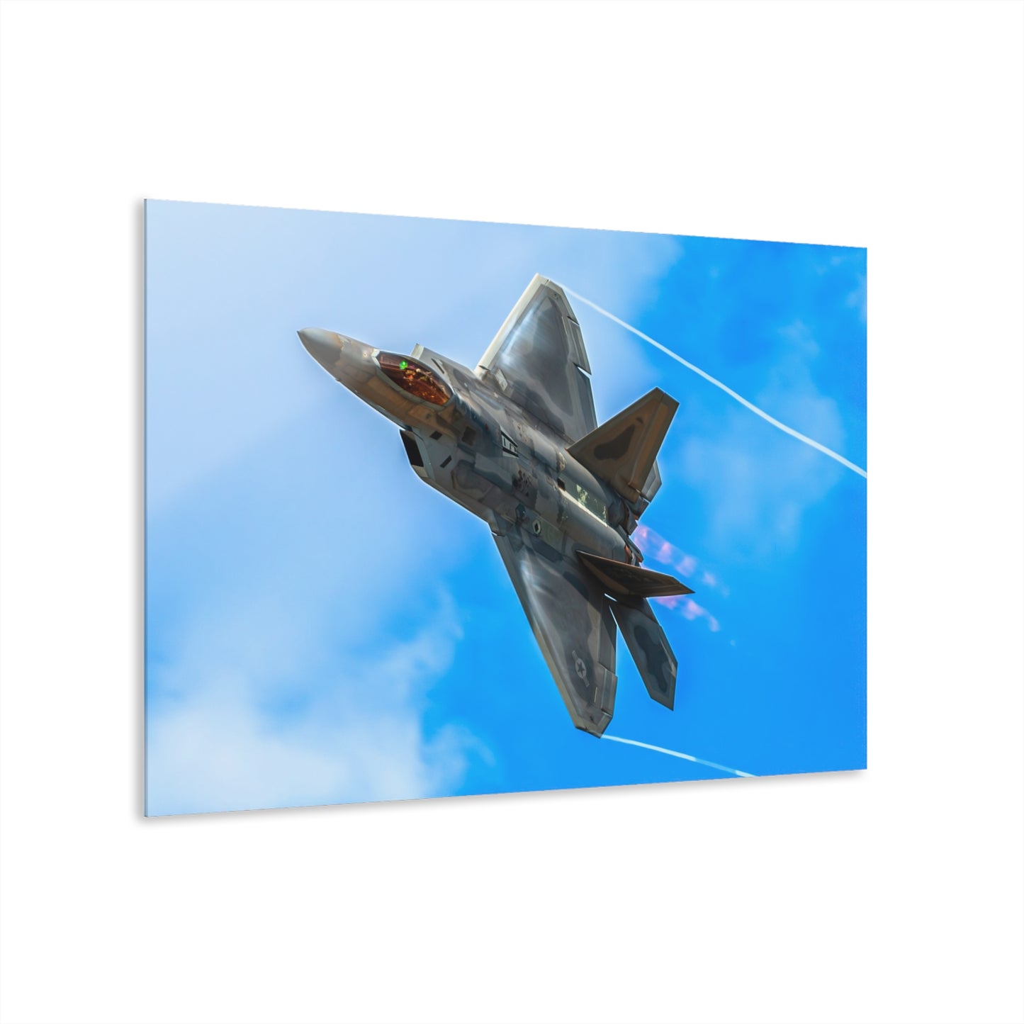 F-22 Raptor Acrylic Print